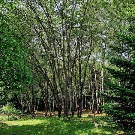 La Maison Thebaide Hébergement de vacances