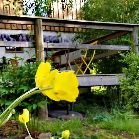 La Maison Thebaide Hébergement de vacances Mortagne